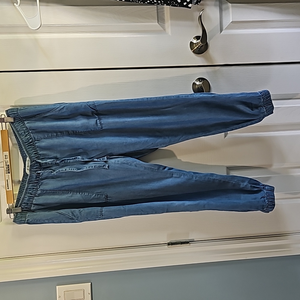 Cleo petite lyocell pant size small color blue